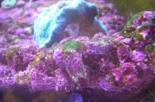 100_1281.jpg