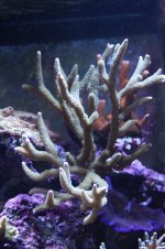 IMG_5822.jpg