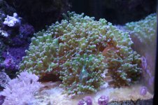IMG_5824.jpg