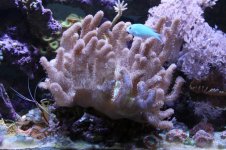 IMG_5827.jpg