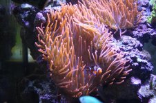 IMG_5828.jpg