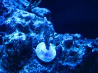 IMG_2034.jpg