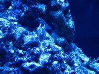 IMG_2033.jpg