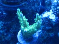 IMG_2045.jpg