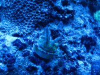 IMG_2029.jpg