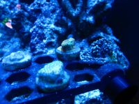 IMG_2046.jpg
