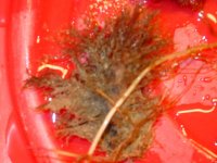 DSC00009.jpg