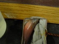 DSC00023.jpg