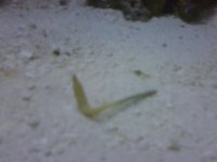 IMG00171-20090527-2155.jpg
