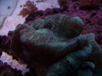 100_1026.jpg