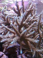 IMG00070-20090723-1007.jpg
