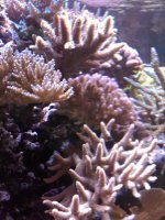 IMG00073-20090723-1008.jpg