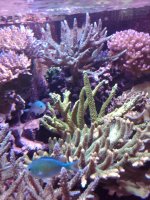 IMG00074-20090723-1008.jpg