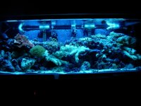 DSCN0709.jpg