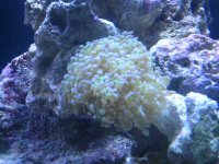 IMG_0358.jpg