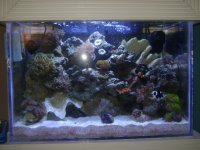 26 Gallon Tank 001.jpg