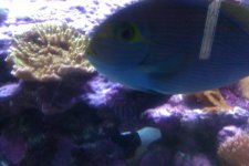 IMAG0033.jpg