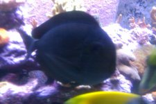 IMAG0035.jpg