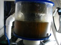 christmas 08' 142.jpg