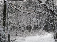 IMG_0069.jpg