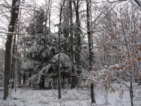 IMG_0074.jpg