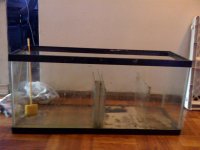 sump.jpg