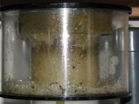 nano 9-29-09 095.jpg