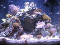 fts1130.JPG