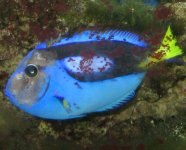 IMG_4231_4.JPG