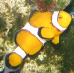 IMG_4221.jpg