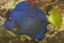 IMG_4229.JPG