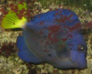IMG_4230.JPG