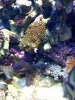 photo-1.jpg