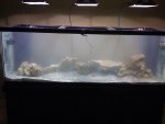IMG_0027.jpg