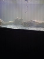 IMG_0029.jpg