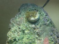 PB291115.jpg