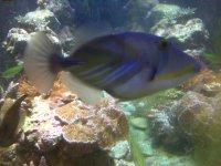 IMG00151.jpg