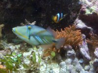 IMG00152.jpg