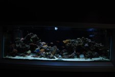 DSC_0122.jpg