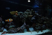 DSC_0120.jpg