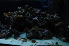 DSC_0118.jpg