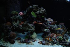 DSC_0114.jpg