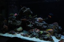 DSC_0113.jpg