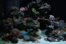 DSC_0123.jpg