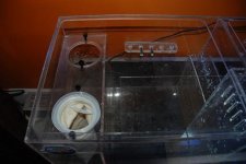 sump 001.jpg