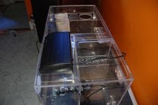 sump 002.jpg
