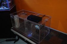 sump 003.jpg
