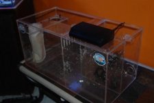 sump 004.jpg