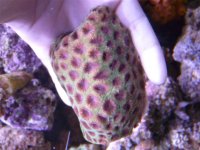 P1020690 (Small).JPG