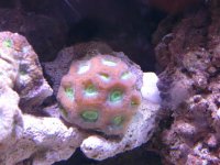 P1020685 (Small).JPG